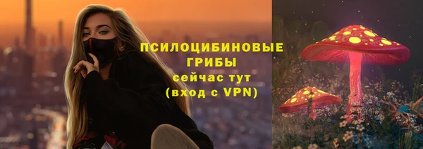 2c-b Алексеевка