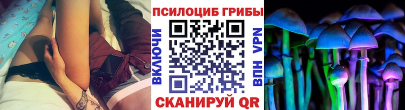 Псилоцибиновые грибы Cubensis  Аша 